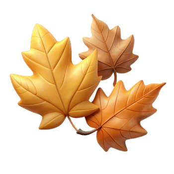 außergewöhnlich kreativ gefallen Blätter ausgeschnitten isoliert mit Herbst Farben Prämie png