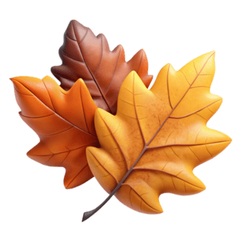 impressionante tradicional caído folhas Cortar fora isolado com outono cores Prêmio png
