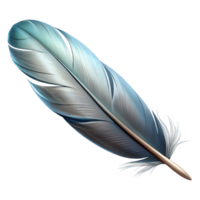 serene traditional Feather Floating in Air Isolated 4K png