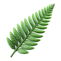 impressive contemporary Fern Leaf Isolated with Delicate Fronds authentic png