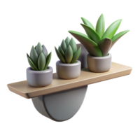 elegant classic Floating Shelf with Plants Isolated Element original png