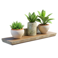 vibrant modern Floating Shelf with Plants Isolated Element high resolution png