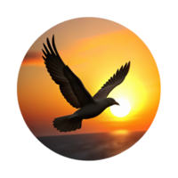 wonderful rustic Flying Bird Silhouette Sunset Background Cutout authentic png