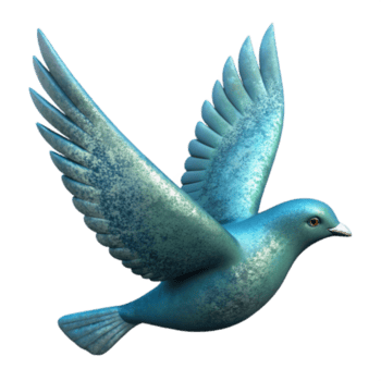 vibrante contemporâneo vôo pássaro silhueta com transparente fundo exclusivo png