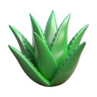 impressive rustic Green Aloe Vera Leaf Cutout Image Isolated authentic png