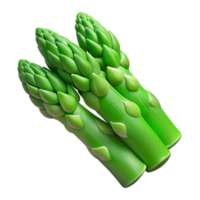 serene creative Green Asparagus Spears Isolated Element premium png