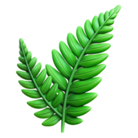 impressive rustic Green Fern Fronds Detailed View Cutout Element detailed png