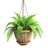 vibrant classic Green Fern Plant in Hanging Basket Side Angle Isolated Element high quality png