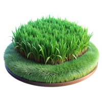 beautiful rustic Green Grass Meadow Lush Greenery Springtime Isolated high resolution png