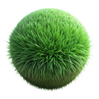 impressive creative Green Grass Texture Lush Close Up Isolated Element high resolution png