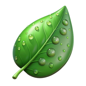 impressionante rústico verde folha com água gotas fechar acima Cortar fora Alto resolução png