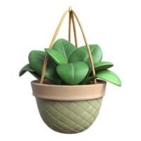 extraordinary abstract Green Plant in a Ceramic Pot Isolated on Transparent Background detailed png
