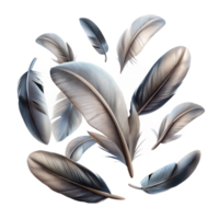 serene abstract Group of Feathers Falling Isolated with Varied Textures detailed png
