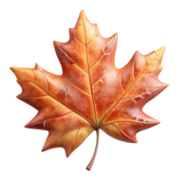 extraordinary creative Maple Leaf Autumn Colors Close Up Transparent Background high resolution png