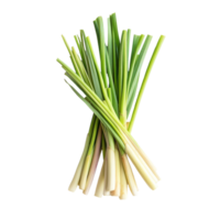 Fresh lemongrass bunch on a transparent background showcasing vibrant green and pale yellow stalks for culinary use, fresh slice lemongrass on transparent background png