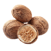 Dried nutmeg seeds isolated on a transparent background showcasing their unique texture and shape, Dry nutmeg isolated on transparent background png