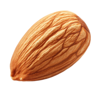 Fresh almond on a transparent background showcasing its natural transparent color and textured surface details, Almond on transparent background png