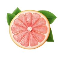 Fresh pink grapefruit citrus fruit with vibrant interior and green leaves on a clean transparent background, pink grapefruit citrus fruit isolated on transparent background png