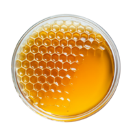 Fresh honey displayed in a petri dish on a transparent background showcasing its natural texture and color, Honey in petri dish over transparent background flat lay png