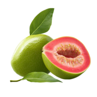 Fresh guava fruit with vibrant pink flesh and green skin displayed on a transparent transparent background, Guava fruit isolated on ransparent transparent background png