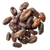 Dried cocoa beans arranged on a clean transparent background showcasing their rich color and texture, Dried Cocoa beans isolated on transparent background png