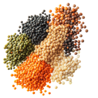 A variety of lentils in different colors spread out on a transparent background highlighting their nutritional diversity, lentils on transparent background png