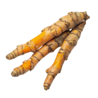Curcuma xanthorrhiza roots showcasing natural texture and vibrant color on a clean transparent surface, Curcuma xanthorrhiza Roxb. Wanchakmotluk on transparent background png