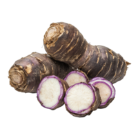 Taro root displayed on a transparent background, showcasing its unique texture and vibrant inner color, taro root on transparent background png