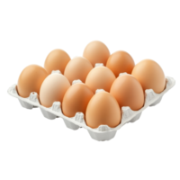 Twelve fresh eggs in a carton isolated on a transparent background ready for cooking or baking, eggs in pack isolated on transparent background png