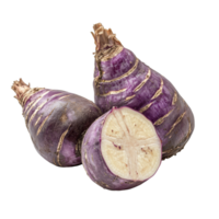 Fresh taro root on transparent background showcasing its purple skin and transparent flesh ideal for culinary use, fresh taro root isolated on transparent background png