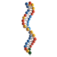 Exploring the double helix structure of DNA against a backdrop featuring a vibrant hue, DNA structure png