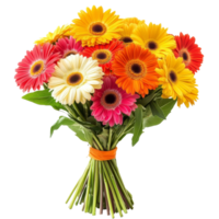 Bright and cheerful bouquet of gerbera flowers in various colors arranged on a transparent background, Bouquet of gerbera flowers, isolated on transparent background png