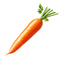 Freshly harvested orange carrot isolated on a transparent background showcasing its vibrant color and green tops, Carrot isolated on trransparent png