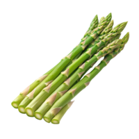 Fresh green asparagus stalks neatly arranged on a transparent background showcasing their vibrant color, Asparagus isolated on transparent background png