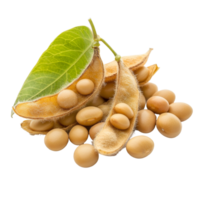 Soybean seeds and pods with leaf on a clean transparent background, showcasing agricultural produce in natural setting, Soy beans seeds isolated on transparent background png