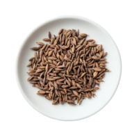 Cumin seeds arranged neatly on a transparent plate set against a bright transparent background, cumin seeds in plate on transparent background png