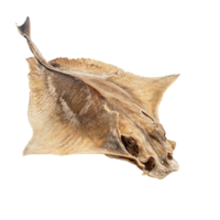 Dried stingray fish displayed on a clean transparent background highlighting its unique texture and shape, Dried Stingray fish isolated on transparent background png