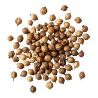 Coriander seeds spread across a clean transparent surface showcasing their unique shape and natural color variations in lighting, Coriander seeds on transparent background png