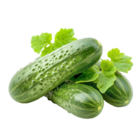 Fresh green cucumbers arranged artfully on a transparent background highlighting their smooth texture and vibrant color, small green cucumbers isolated on transparent background png