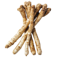 Discovering the unique qualities of Kaempfer finger root Krachai from Thailand during a kitchen preparation session, Kaempfer finger root Krachai Thai herbisolated on transparent background png