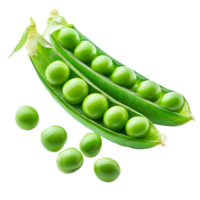 Fresh green peas in their pods on a clean transparent background ready for cooking or snacking, Fresh peas isolated on transparent background png