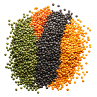 Colorful lentils arranged on a transparent background showcasing their varieties and textures in bright, natural light, lentils on transparent background png