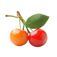 Barbados cherry fruit with vibrant colors on a transparent background, emphasizing freshness and quality, Barbados cherry on transparent background png