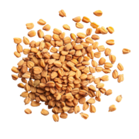 Fenugreek seeds scattered on a clean transparent background, showcasing their unique shape and color, Fenugreek seeds on a transparent background png