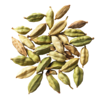 Variety of cardamom pods arranged on a transparent background showcasing their unique shapes and colors for culinary use, cardamom on transparent background png