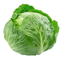 Fresh green cabbage isolated on a transparent background showcasing its vibrant leaves and natural texture, slice cabbage isolated on transparent background png