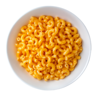 Dry macaroni pasta in a transparent plate arranged neatly on a clean background ready for cooking or recipes, dry macaroni in a plate on transparent background png