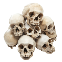 A collection of human skulls stacked together on a plain transparent background highlights their shapes and features, pile of skull isolated on transparent background png