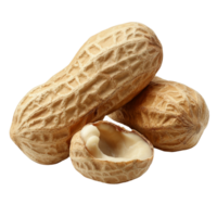 Isolated peanut with shell and nut placed together on a clean transparent background, Peanut isolated png
