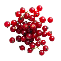 Bengal currants known as Carissa carandas Linn on a transparent background showcasing their vibrant red color, Carissa carandas Linn or Bengal currants on transparent background png